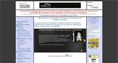 Desktop Screenshot of fwt.fr