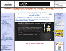Tablet Screenshot of fwt.fr